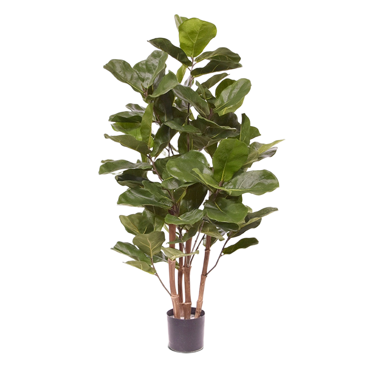 Royal Lyrata kunstplant 105 cm 1 Royal Lyrata kunstplant 105 cm