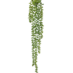 Senecio Pearl kunst hangplant 55cm