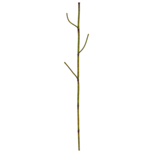 Polygonum kunsttak 86cm groen