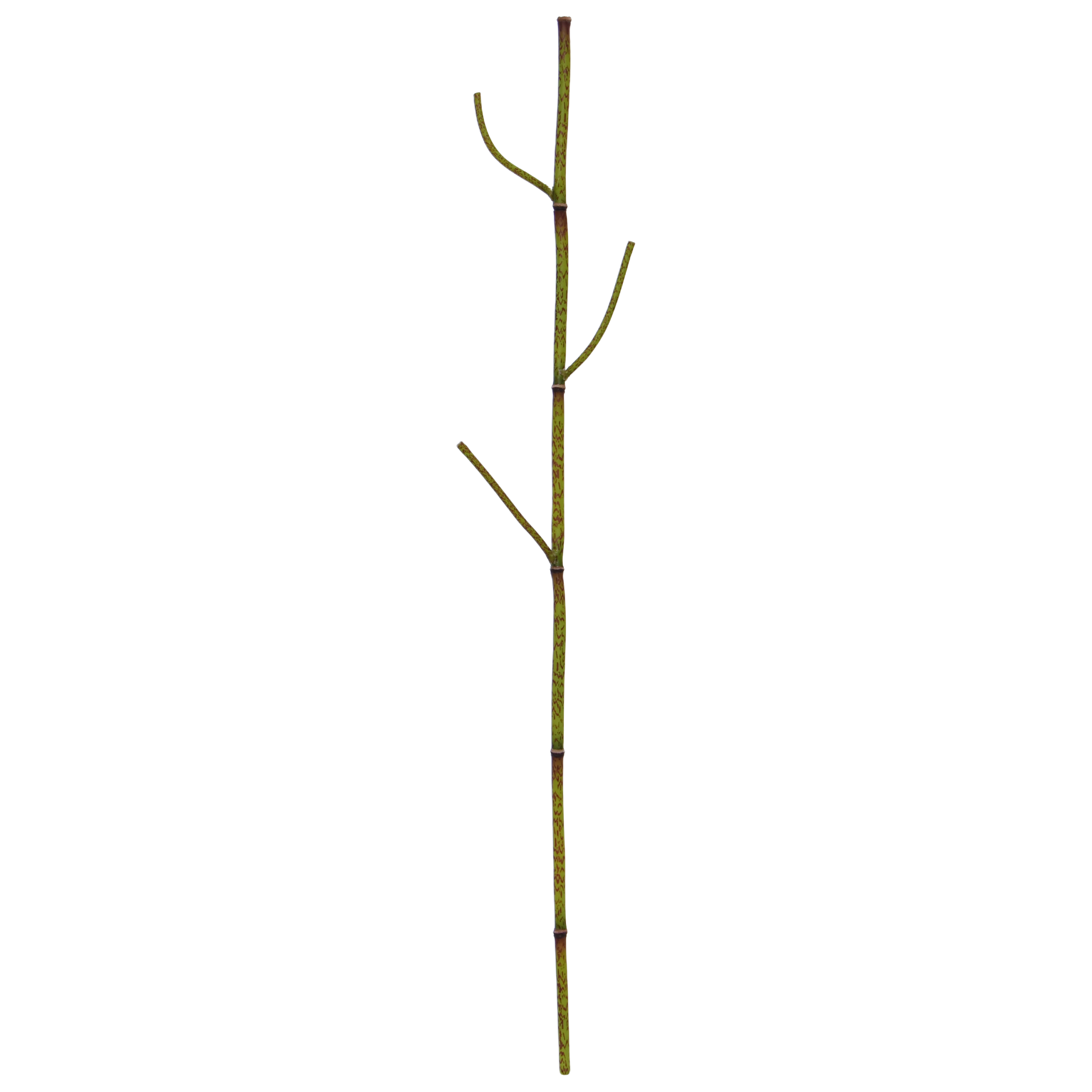 Polygonum kunsttak 86cm groen 1 Polygonum kunsttak 86cm groen