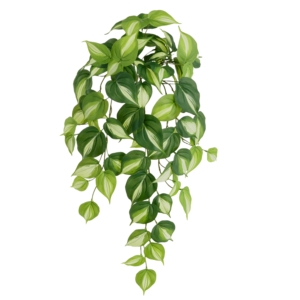 Philodendron Kunst Hanger bright Brasil 60cm