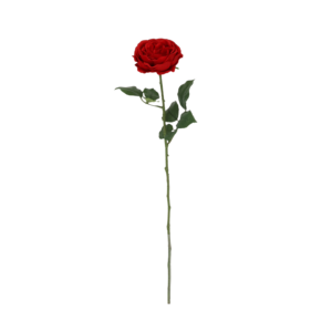 Engelse Tuinroos Kunsttak 56cm Rood