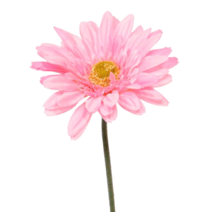Gerbera kunst steelbloem 60 cm roze