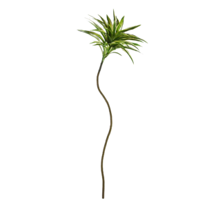 Draceana reflexa Kunsttak 105cm bont