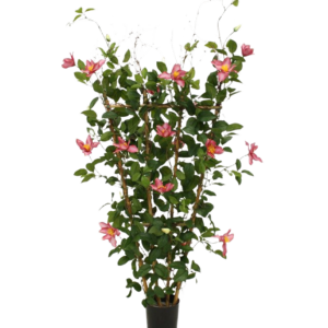 Clematis kunstheg 125cm - rose