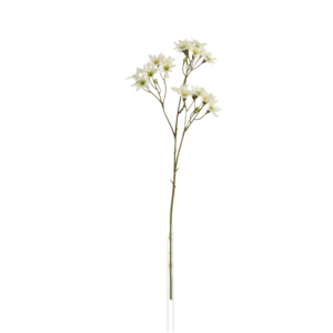 Zephyr Lely Kunsttak 45cm Creme