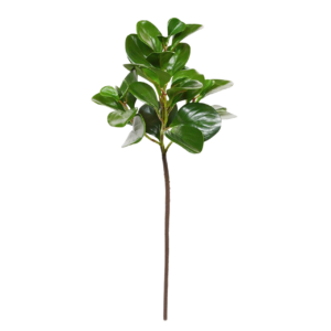 Peperomia Obtusifolia kunstbladtak 50 cm