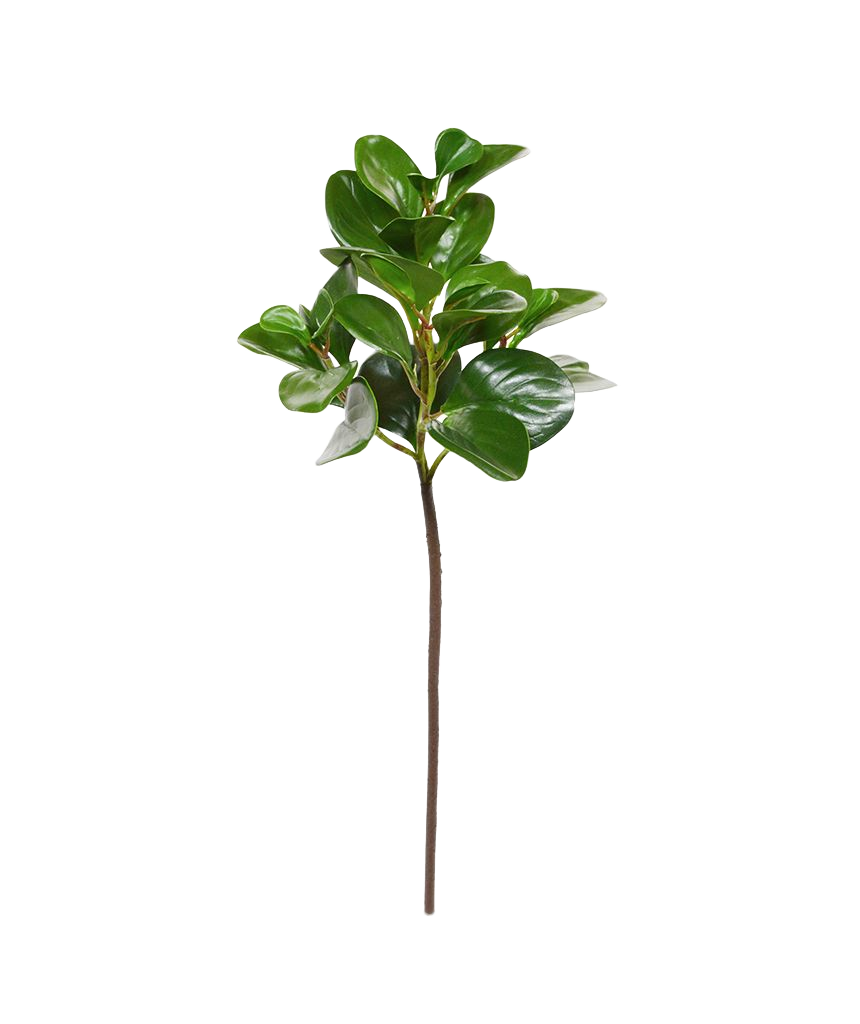 Peperomia Obtusifolia kunstbladtak 50 cm 1 Peperomia Obtusifolia kunstbladtak 50 cm