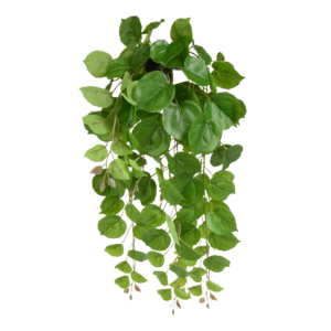 Philodendron kunst hangplant 50cm