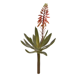 Aloe Vera Kunstplant 30cm rood