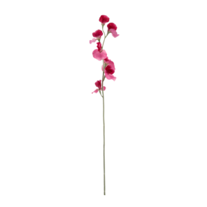 Lathyrus Kunsttak 64cm Cerise