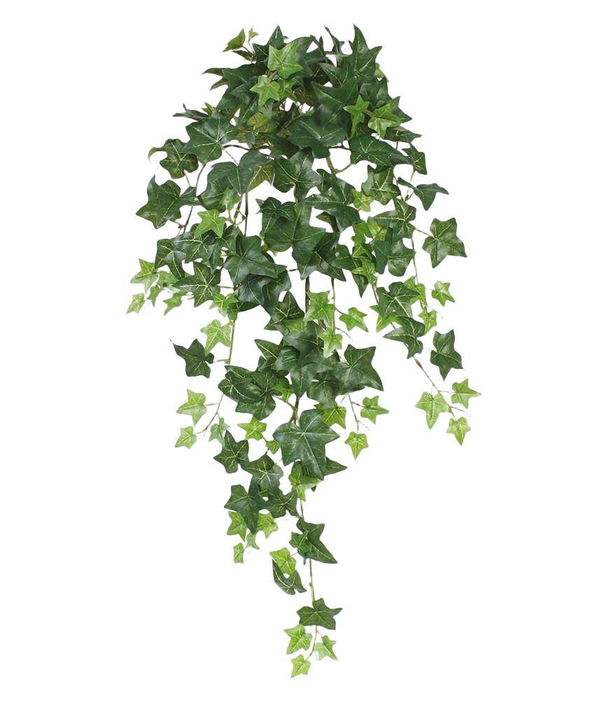 Hedera kunst hangplant 75cm - groen 1 Hedera kunst hangplant 75cm - groen