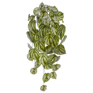 Peperomia Gold Dust kunst hanger 65cm bont