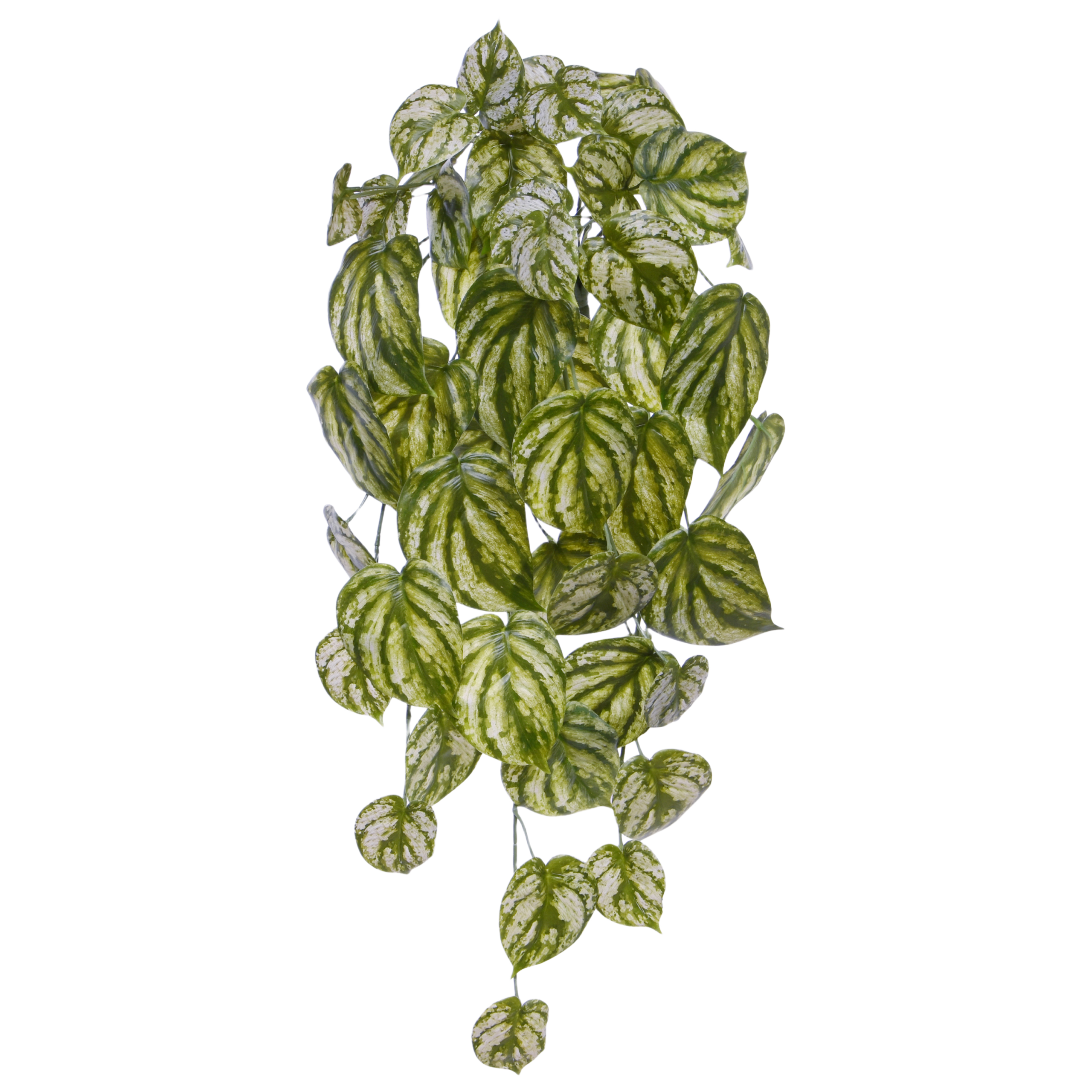 Peperomia Gold Dust kunst hanger 65cm bont 1 Peperomia Gold Dust kunst hanger 65cm bont