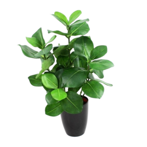 Clusia kunstplant 40cm in pot 10cm
