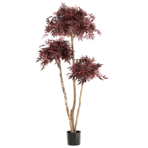 Japanse Kunst Acer Bonsai Deluxe 180cm Burgundy