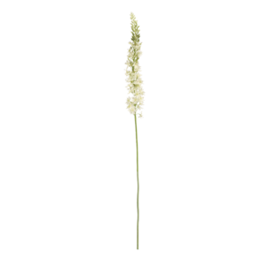 Eremurus Kunsttak 110cm Creme