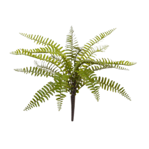 Asplenium Varen kunstplant 35cm