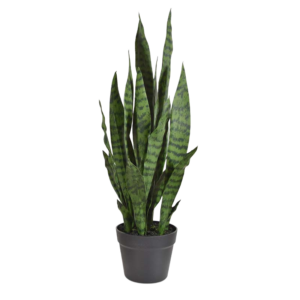 Sanseveria kunstplant N 70cm - groen