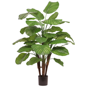 Calathea Fasciata kunstplant Deluxe 110cm