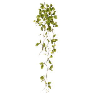 Peperomia Kunsthangtak bont 80cm