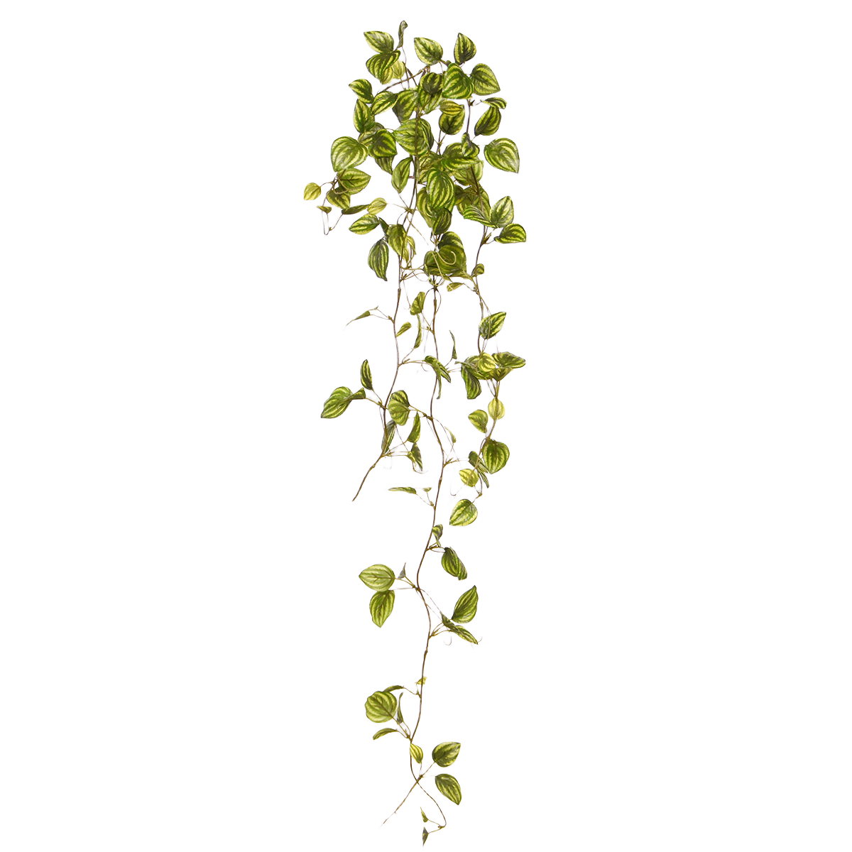 Peperomia Kunsthangtak bont 80cm 1 Peperomia Kunsthangtak bont 80cm