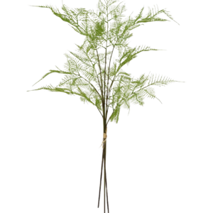 3x Asparagus kunsttak 85 cm - bundel