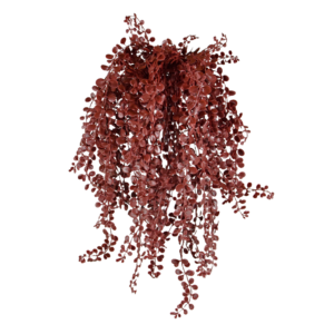 Dischidia kunst hangplant 40cm UV Burgundy