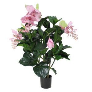 Medinella deluxe kunstplant 100cm