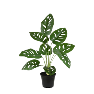 Monstera Adonsonii kunstplant 40cm in pot