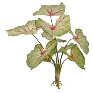 Caladium white queen kunstplant 40cm