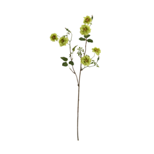 Wilde Rozen Kunsttak 71cm Groen