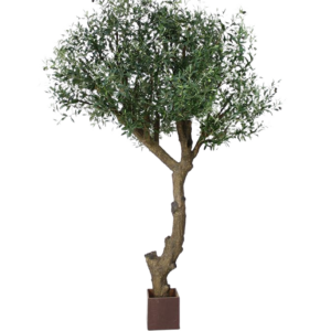 Olijf Giant Y stam kunstboom 270cm