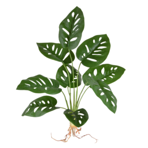 Monstera Adonsonii kunstplant 40cm