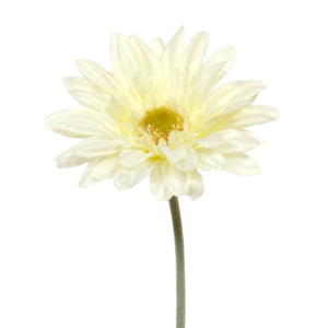 Gerbera kunst steelbloem 60 cm creme