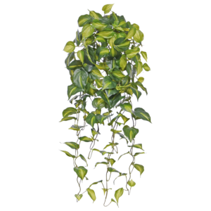 Philodendron Scandens Brasil kunst hangplant 80cm