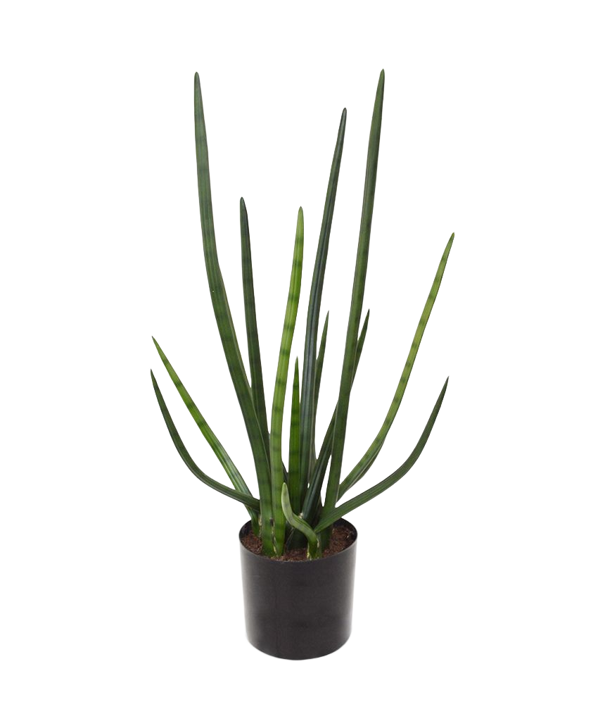 Sanseveria Cylindrica kunstplant 75cm - groen 1 Sanseveria Cylindrica kunstplant 75cm - groen