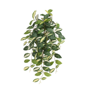 Dracaena Surculosa Milky way Kunst Hanger 75cm