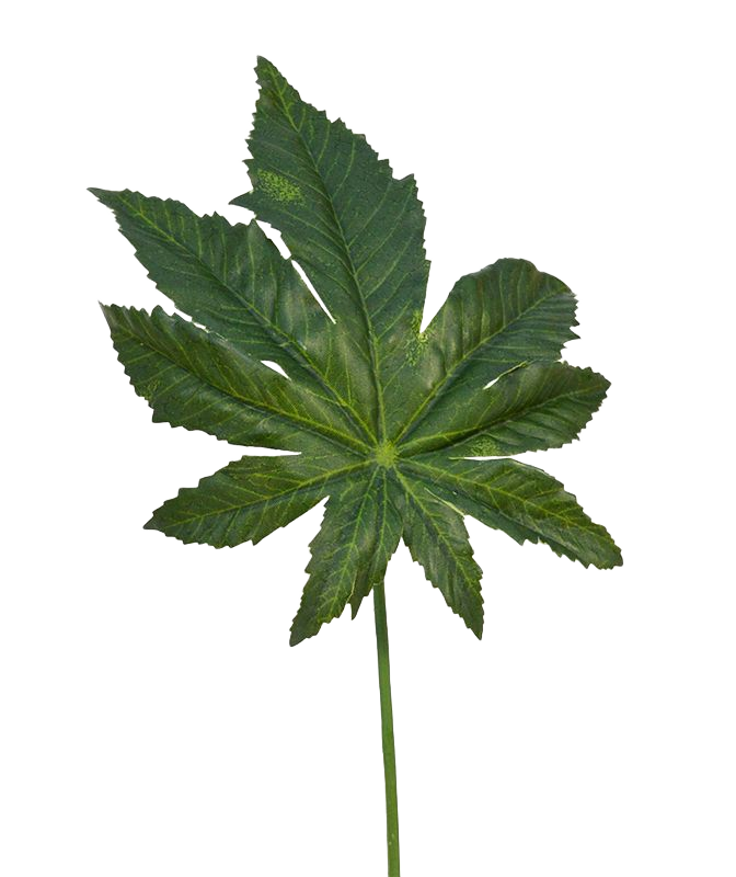 Aralia kunstbladtak 45 cm 1 Aralia kunstbladtak 45 cm