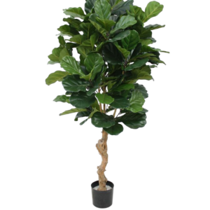 Lyrata deluxe kunstplant 155cm