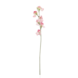 Lathyrus Kunsttak 64cm Roze