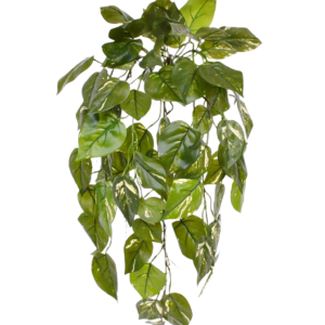 Pothos kunst hangplant deluxe 70cm - bont