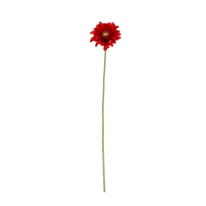Gerbera Vanda Kunstbloem 48cm Rood