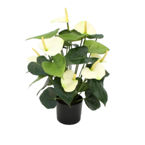 Anthurium deluxe kunstplant 50cm - creme