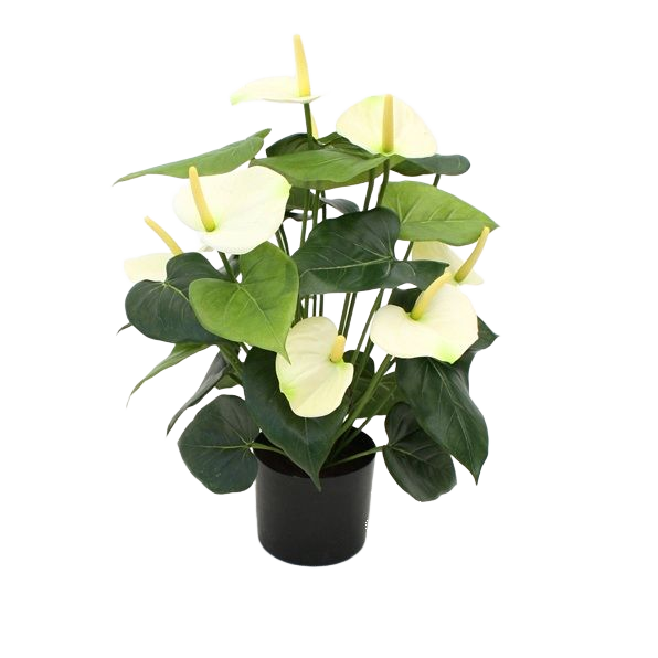 Anthurium deluxe kunstplant 50cm - creme 1 Anthurium deluxe kunstplant 50cm - creme