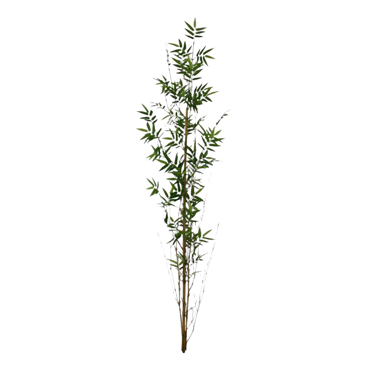 Oriental Bamboe kunsttak recht 150cm 1 Oriental Bamboe kunsttak recht 150cm