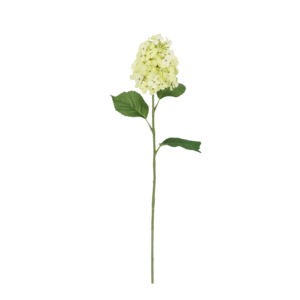 Hortensia Kunsttak 71cm Creme/groen
