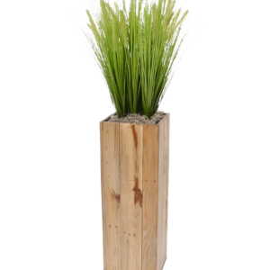 Pennisetum kunstgras x9 in Maronne High Cube 24x72