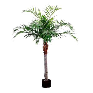 Majesty Giant kunstpalm 350cm