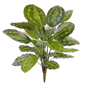 Calathea Roseopicta kunstplant 65 cm boeket